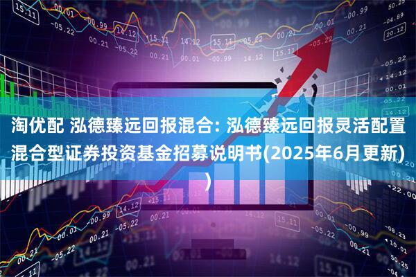 淘优配 泓德臻远回报混合: 泓德臻远回报灵活配置混合型证券投资基金招募说明书(2025年6月更新)