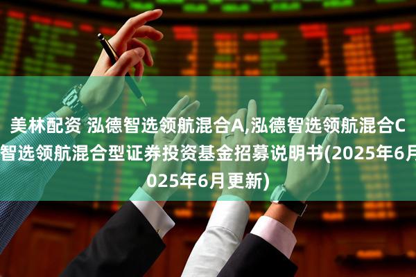 美林配资 泓德智选领航混合A,泓德智选领航混合C: 泓德智选领航混合型证券投资基金招募说明书(2025年6月更新)
